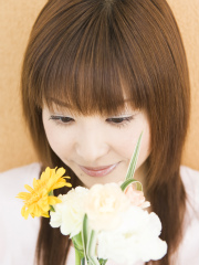 �j,�ޏ�,����,����,�錍,�m�E�n�E,